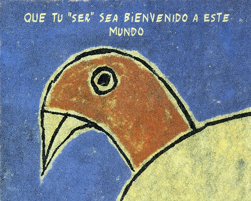 Imagen categoría